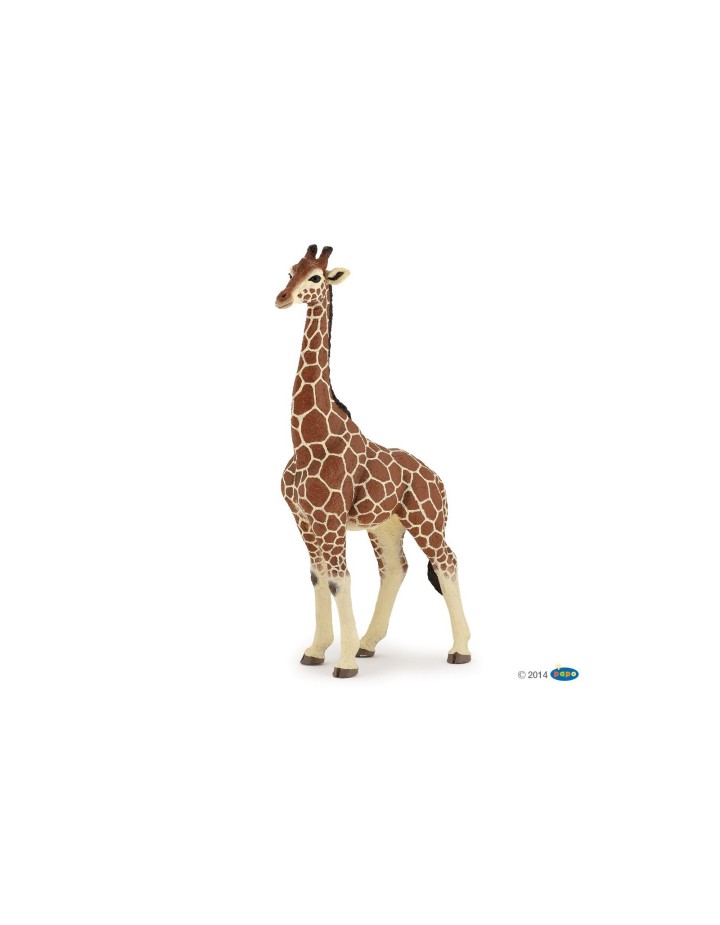 Figurine Girafe - PAPO