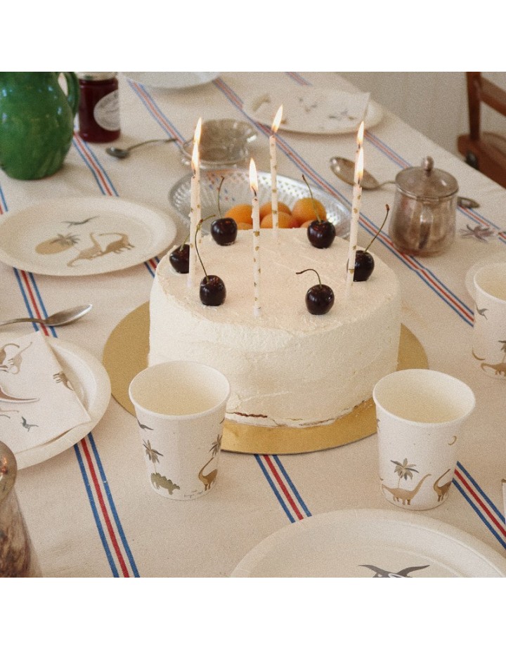 I- KIT D'ANNIVERSAIRE DINO