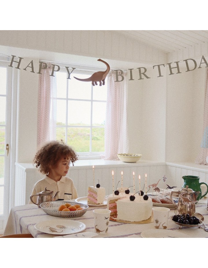 I- KIT D'ANNIVERSAIRE DINO