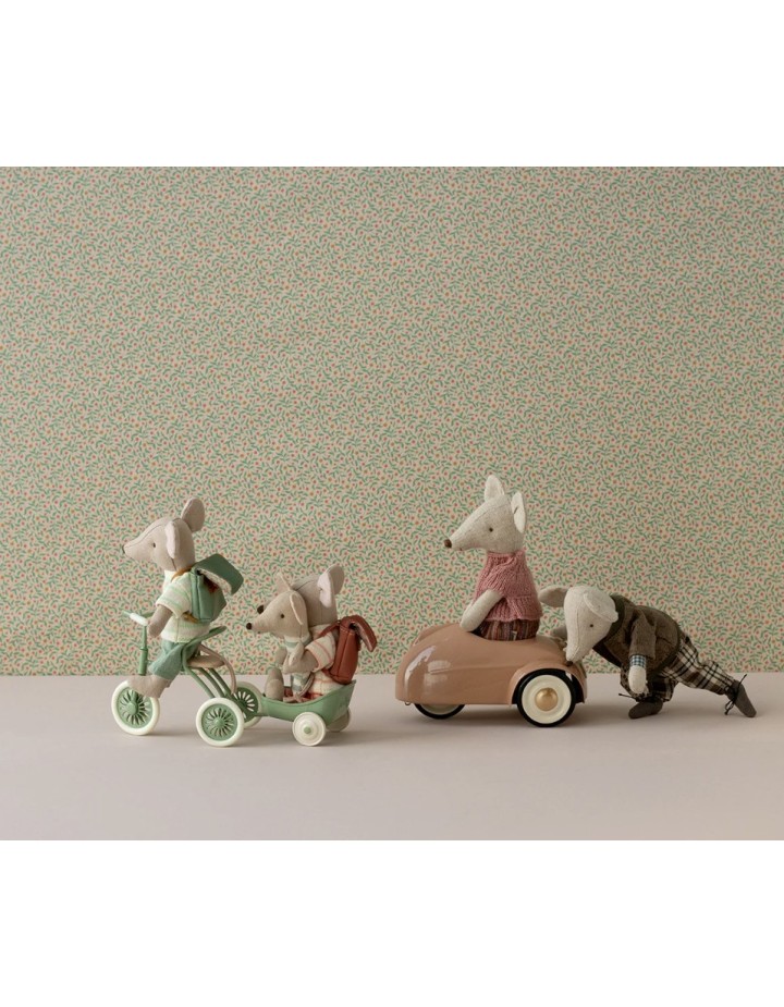 ABRI À TRICYCLE VERT