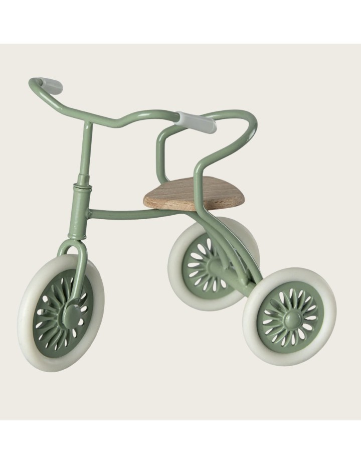 ABRI À TRICYCLE VERT