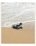 I- BOUEE ENFANT TORTUE FAUNE GREEN I- BOUEE ENFANT TORTUE FAUNE GREEN