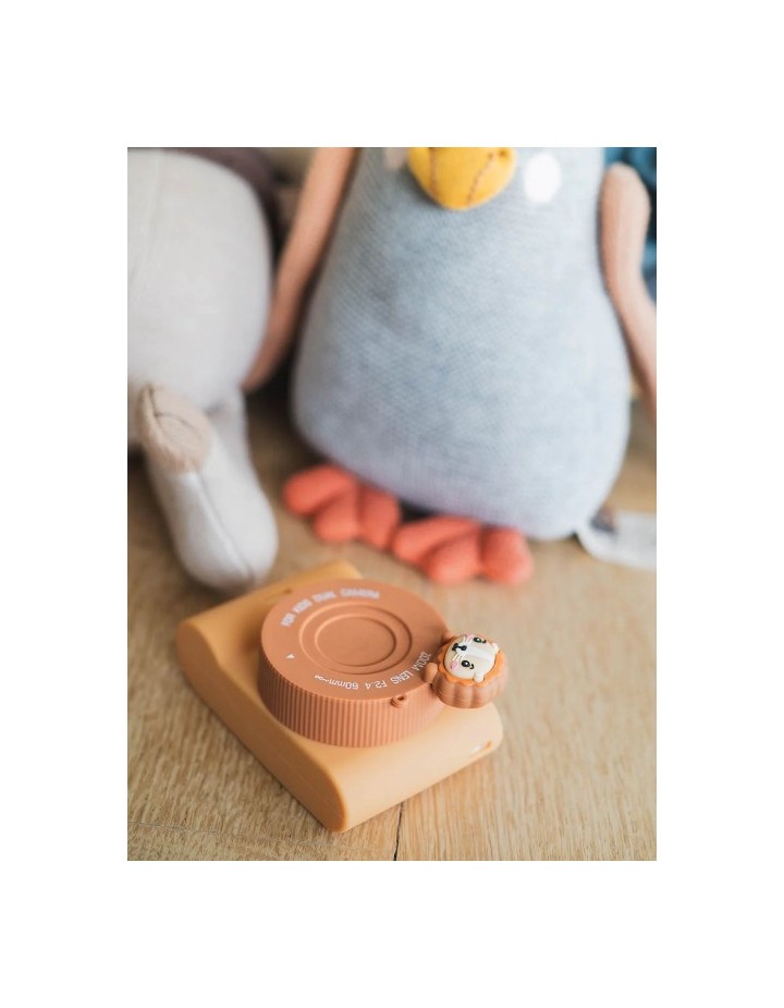 APPAREIL PHOTO URBAN ZOO LION