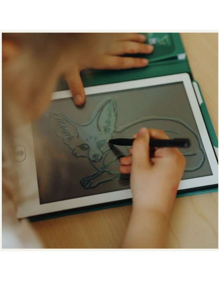 I- TABLETTE A DESSIN ANIMAUX AUTOUR DU MONDE