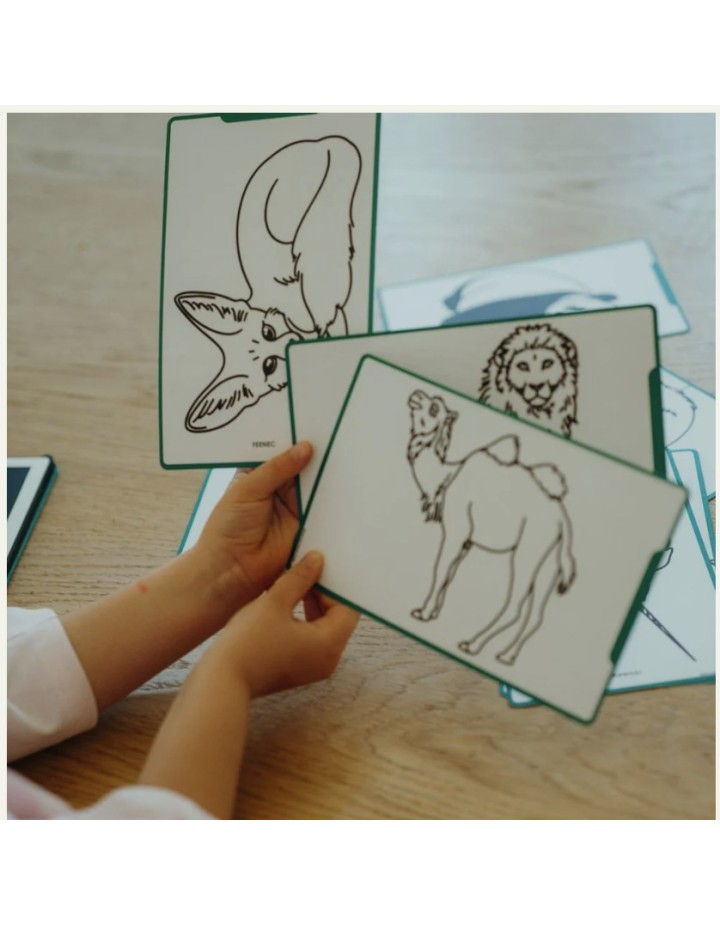 I- TABLETTE A DESSIN ANIMAUX AUTOUR DU MONDE