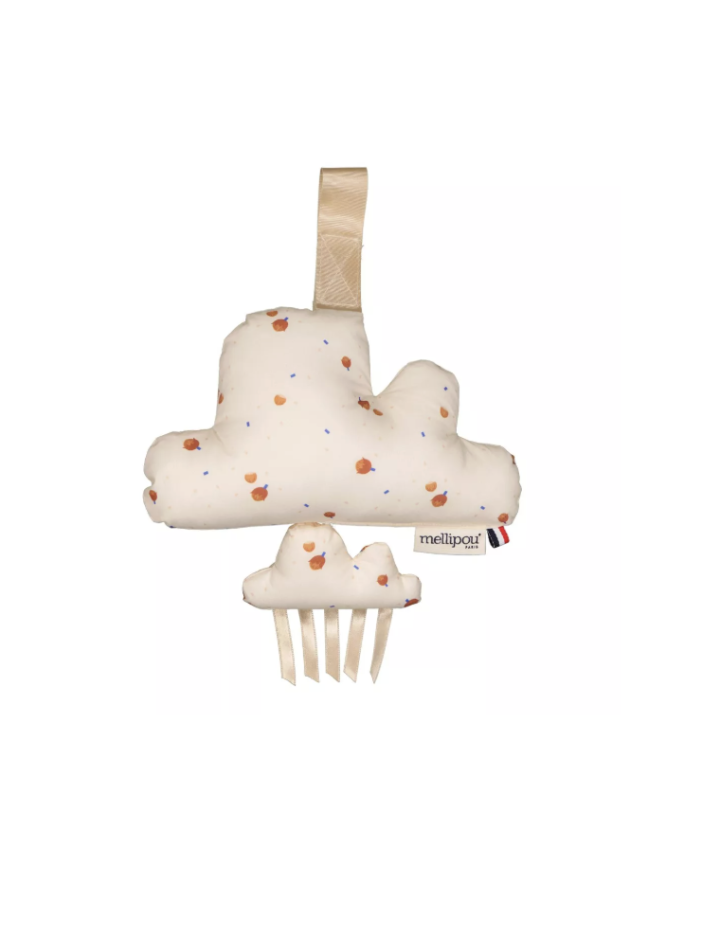 I- COFFRET NAISSANCE STEVIE WONDER