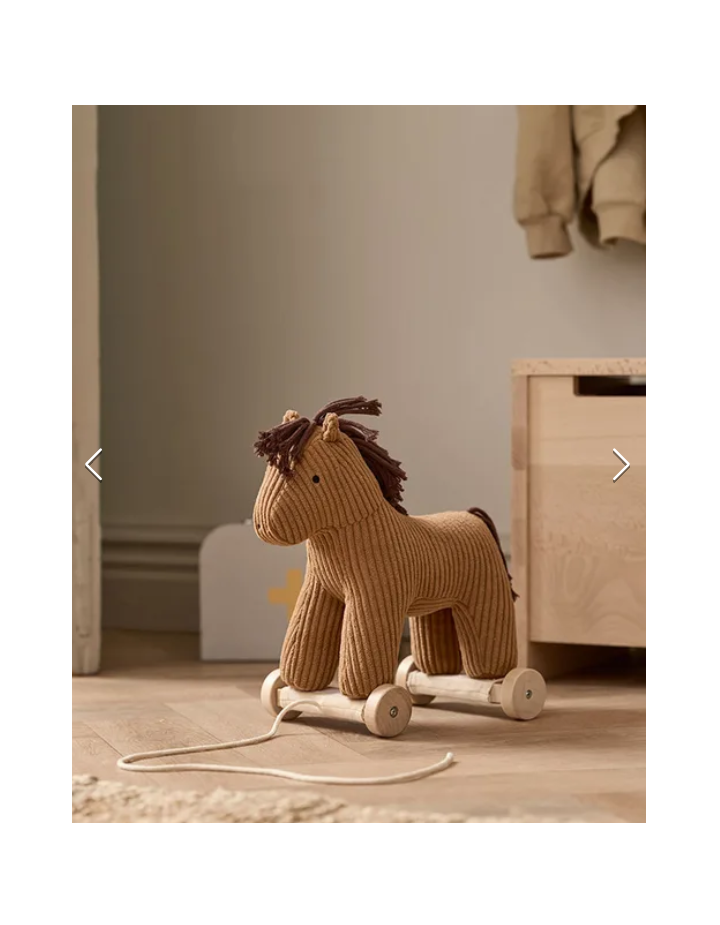 CHEVAL À TIRER VERA