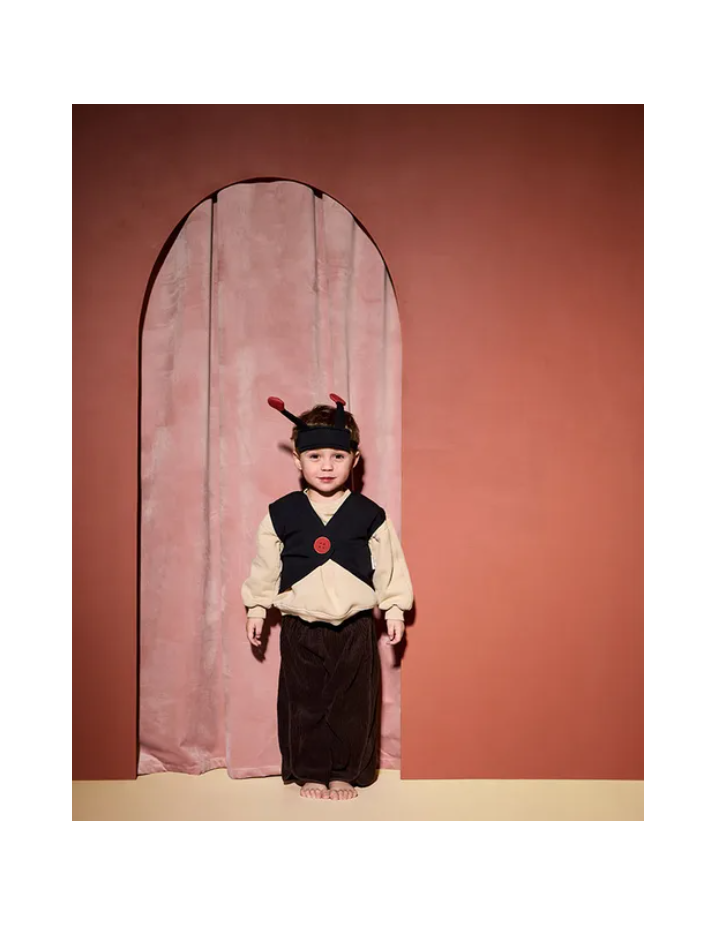 DEGUISEMENT LADYBUG coccinelle