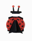DEGUISEMENT LADYBUG coccinelle