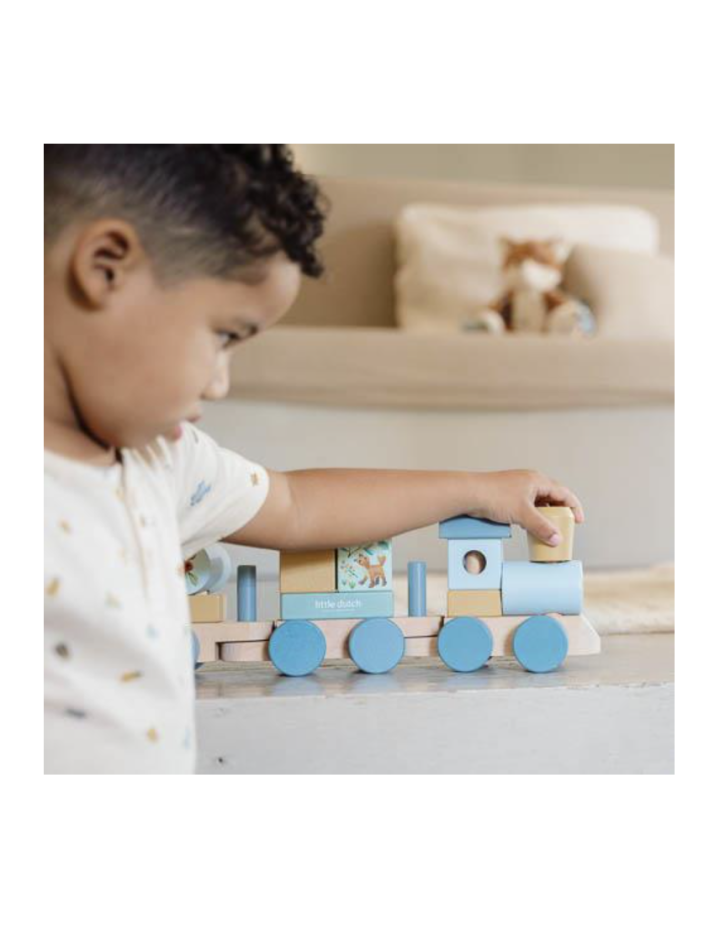 TRAIN A  BLOC FOREST FRIENDS