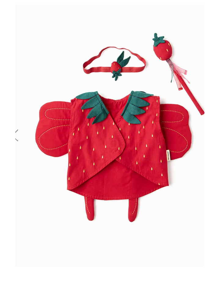 DEGUISEMENT FRAISE DRESSS-UP