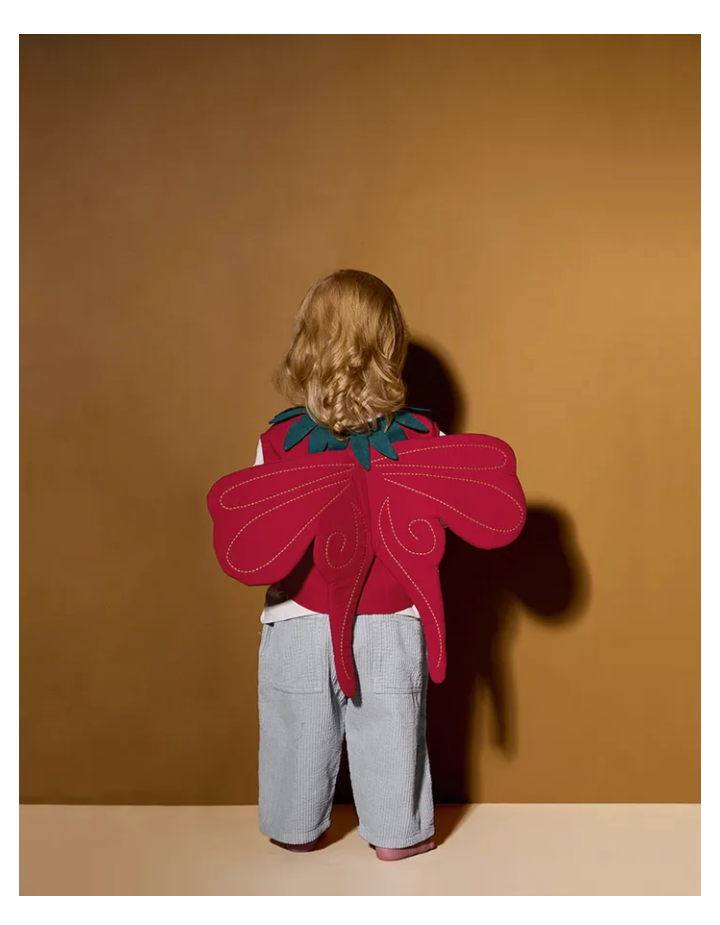 DEGUISEMENT FRAISE DRESSS-UP