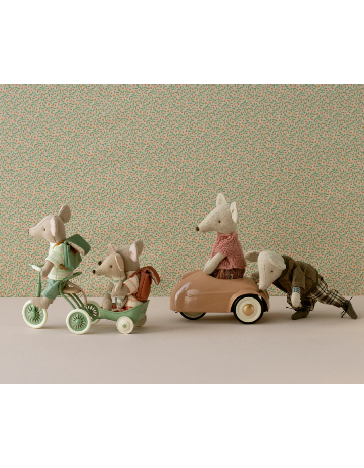 CHARIOT TRICYCLE VERT