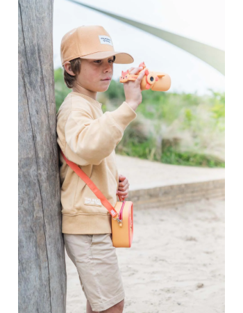 CAMERA ZOO VIDEO RENARD