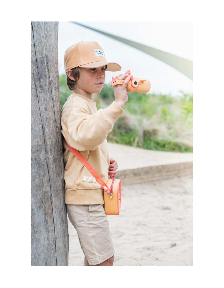 CAMERA ZOO VIDEO RENARD