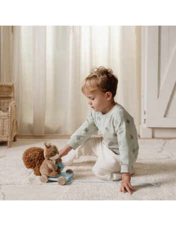 PELUCHE A TIRER ECUREUIL FOREST FRIENDS
