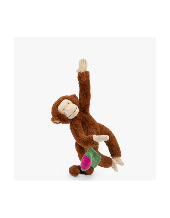 SINGE MOCHICA D'ACTIVITÉS À SUSPENDRE LA FORÊT MAWA