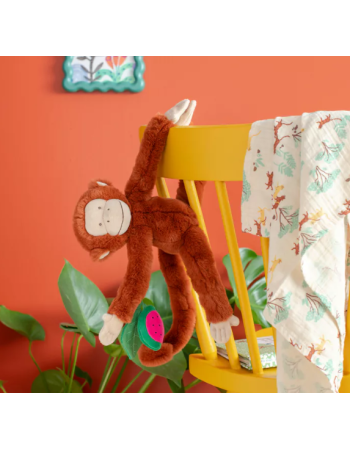 SINGE MOCHICA D'ACTIVITÉS À SUSPENDRE LA FORÊT MAWA