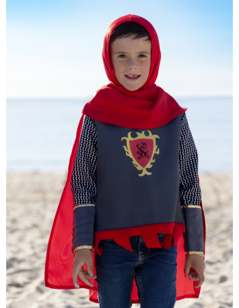 DEGUISEMENT CHEVALIER PERCEVAL