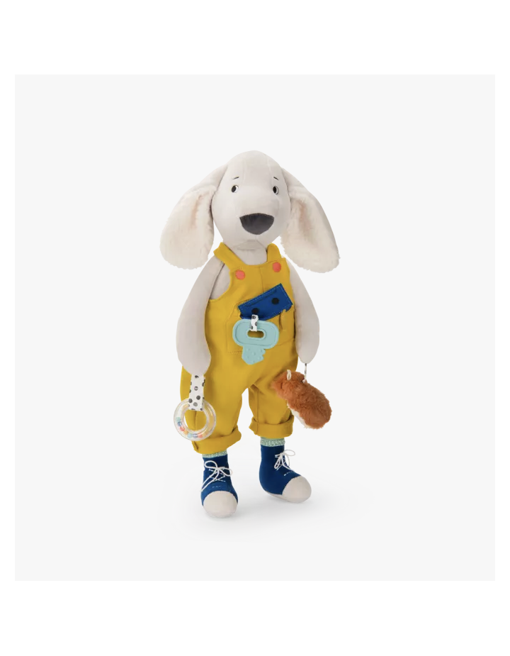 GRAND CHIEN PILOU D'ACTIVITES