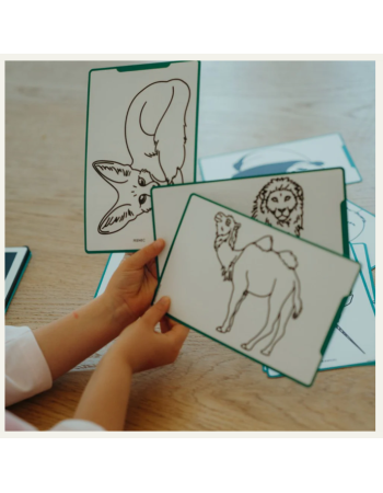 Recharge KidyDraw Mini Animaux autour du monde et Océans et Pirates – Accessoire tableau créatif lumineux Kidywolf