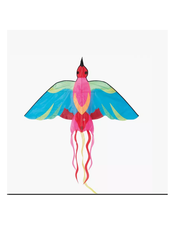 Cerf-volant oiseau Moulin Roty Aujourd’hui c’est mercredi | Enfant