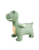 Ballon sauteur Dino Dexter Find That Hippo dès 2 ans