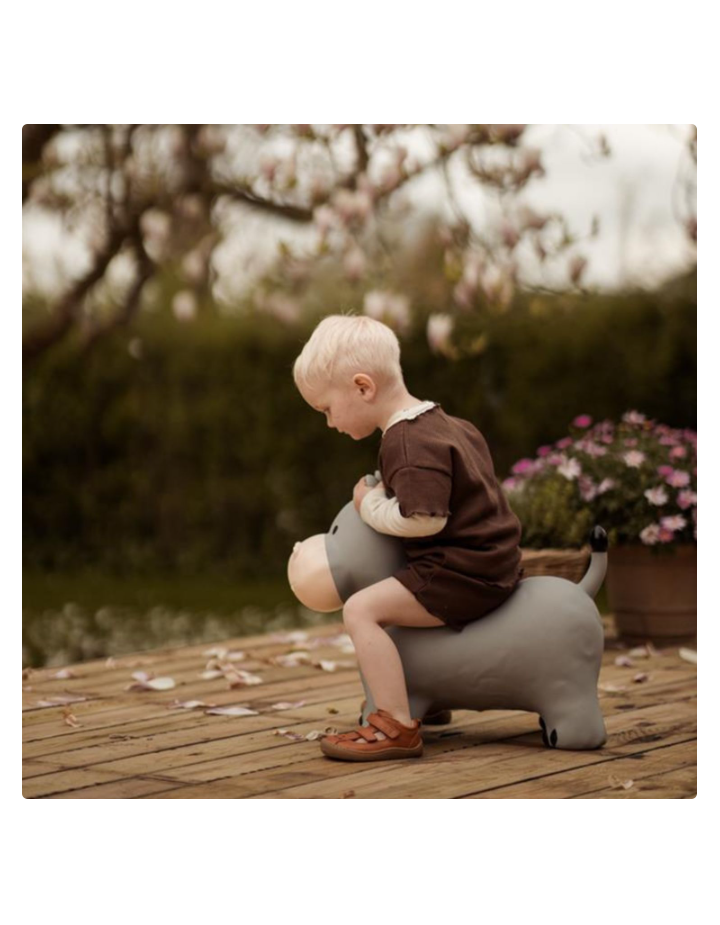 Ballon sauteur Hippo Holger – Find That Hippo