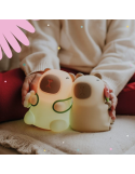 Veilleuse LED Kapibara Tourist Mary's | Lampe rechargeable enfant