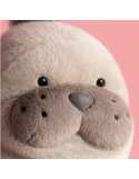 Roarwell Sea Lion Jellycat | Peluche lion de mer ultra douce 30 cm