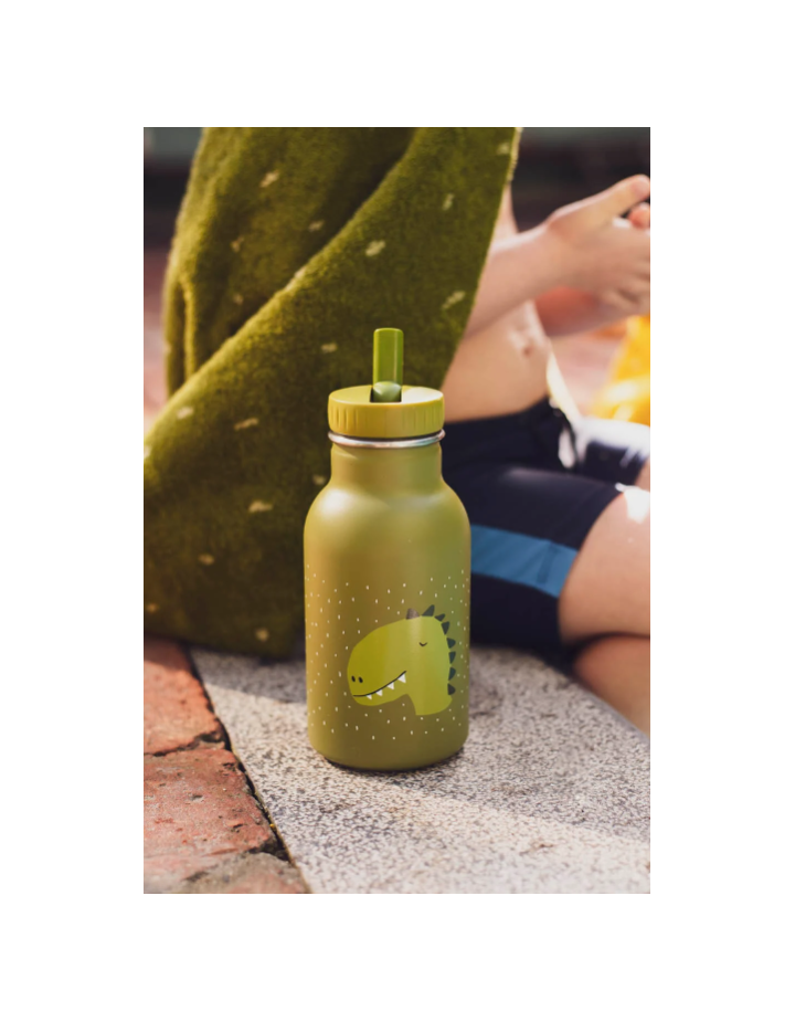 Gourde 350 ml Mr. Dino Trixie | Le Lutin Vert