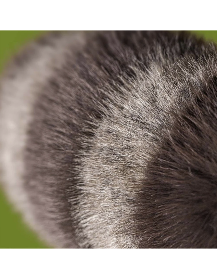 Peluche Jellycat Trixiwoo Raccoon | Raton laveur