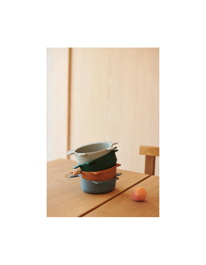 Lot de 4 bols en silicone Iggy | Liewood